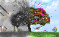 Contrast tree wallpaper 1920x1200 jpg