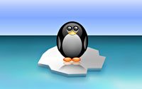 Cute penguin on the floating ice wallpaper 1920x1080 jpg