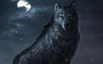 Dark wolf wallpaper