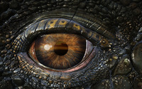 Dragon's eye wallpaper 1920x1080 jpg