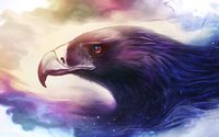 Eagle [6] wallpaper 1920x1080 jpg