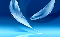 Floating feathers wallpaper 1920x1200 jpg