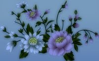 Flowers [33] wallpaper 2560x1600 jpg