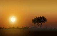 Foggy sunset wallpaper 2880x1800 jpg