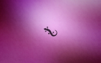 Gecko silhouette on purple fog wallpaper 1920x1200 jpg
