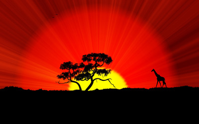 Giraffe and tree silhouette in the sunset wallpaper