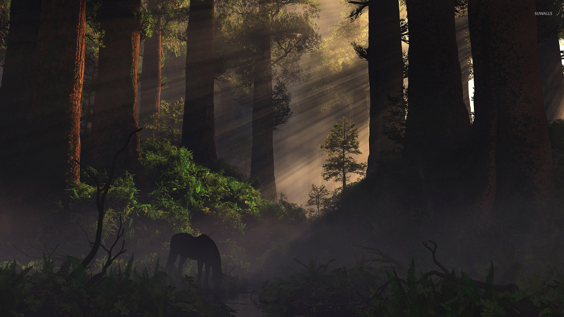 horse-in-the-forest-34606-1920x1080.jpg