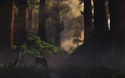 Horse in the forest Wallpaper