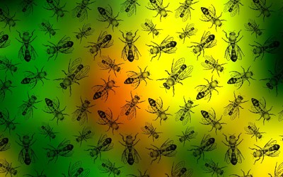 Insect pattern wallpaper