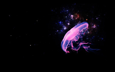 Jellyfish in space wallpaper