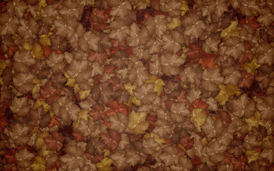 Leaves [16] wallpaper