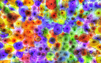 Multicolored jellyfish wallpaper 1920x1200 jpg