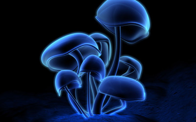 Neon mushrooms wallpaper