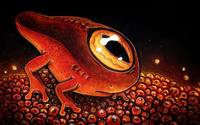 One-eyed sea creature wallpaper 1920x1200 jpg