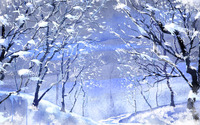 Path through the frozen trees wallpaper 1920x1080 jpg