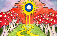 Path to the sun through the mushrooms wallpaper 1920x1200 jpg