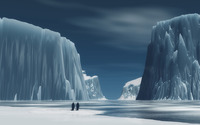 Penguins in Antarctica wallpaper 2560x1440 jpg