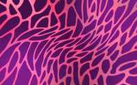Pink and purple leopard fur wallpaper 2560x1600 jpg