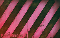Pink Revolution wallpaper 1920x1200 jpg