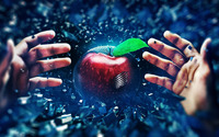 Reaching for the apple wallpaper 2560x1440 jpg