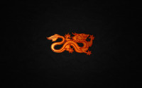 Red dragon on leather wallpaper 2560x1600 jpg