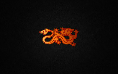Red dragon on leather wallpaper