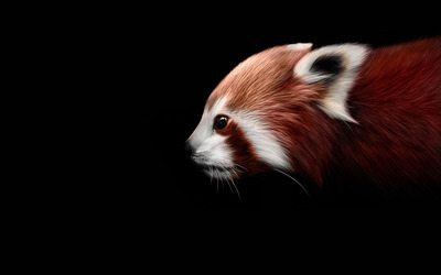 Red panda [4] wallpaper