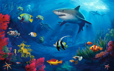 Underwater life Wallpaper