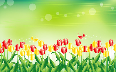 Yellow and red tulips wallpaper