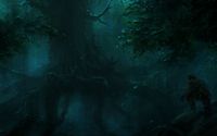 Hunter in the dark forest wallpaper 1920x1200 jpg