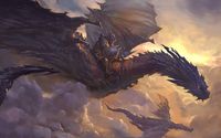 Knight on dragon wallpaper 2560x1600 jpg