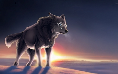 Magical wolf at sunset Wallpaper