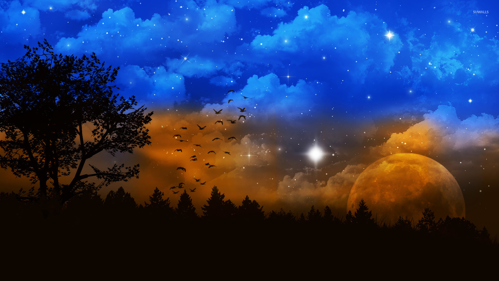 Night Sky 3 Wallpaper Fantasy Wallpapers 17756