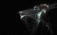 Sea monster wallpaper 2560x1600 jpg