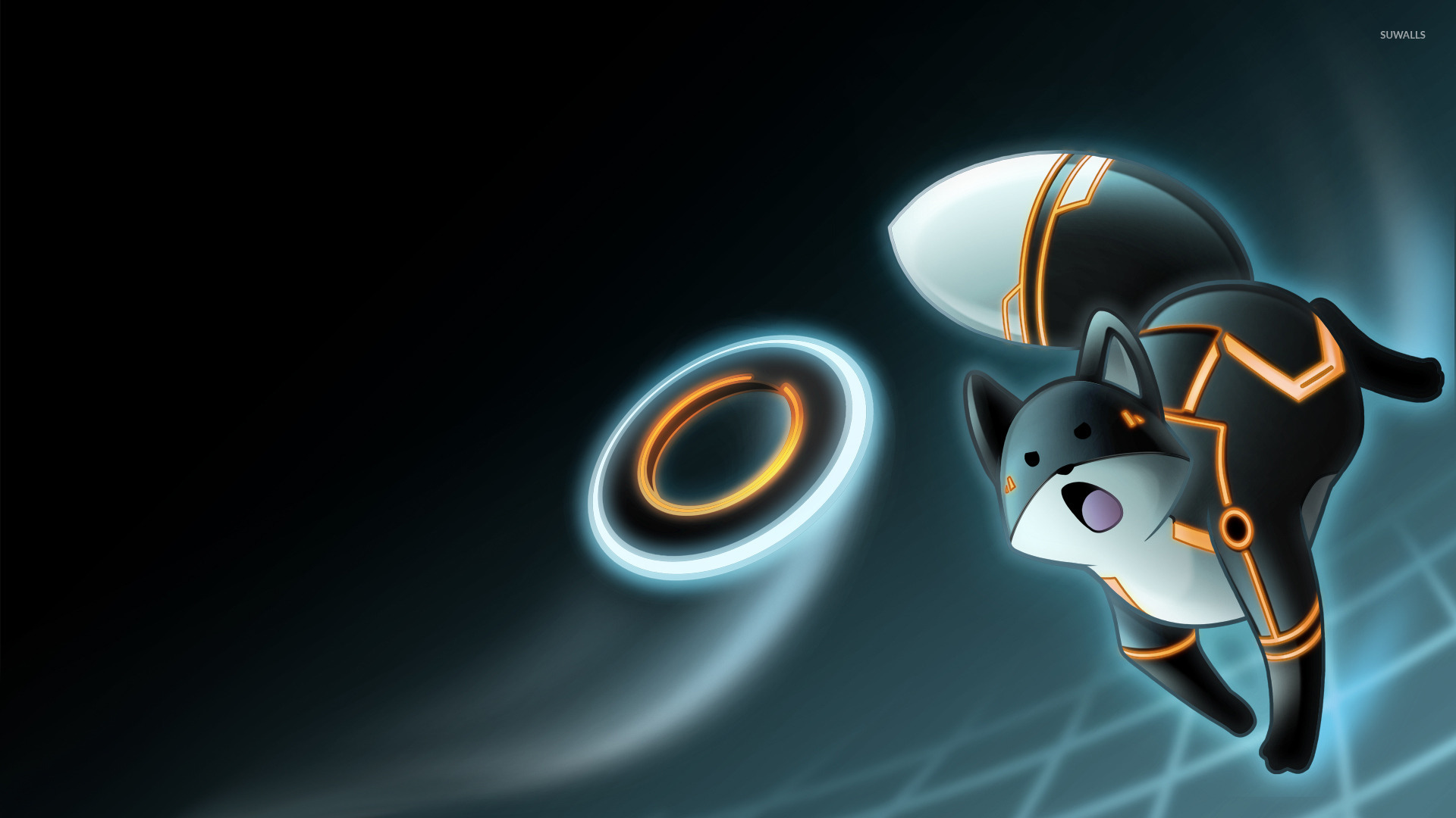 Space Cats HD Wallpaper 78 images