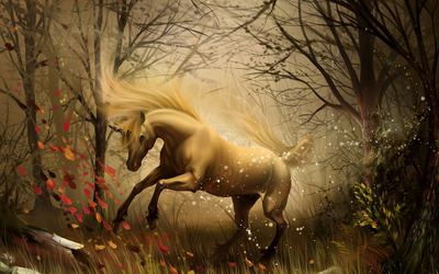 Unicorn in the enchanted forest wallpaper