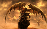 Warrior and dragon wallpaper 2560x1600 jpg