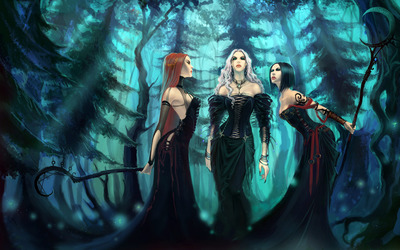 Witches in the forest wallpaper