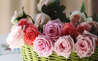 Bouquet of roses in a basket wallpaper