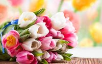 Pink and white tulips wallpaper 2560x1600 jpg