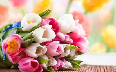 Pink and white tulips wallpaper