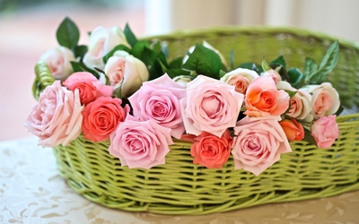 Pink roses in a straw basket Wallpaper