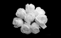 White Rose Bouquet [2] wallpaper 1920x1200 jpg