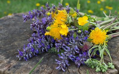 Yellow and purple wildflower bouquet Wallpaper