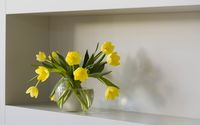 Yellow tulips [7] wallpaper 2560x1600 jpg