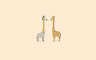 Giraffe and zebra being friends Wallpaper