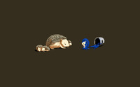 Hedgehogs [2] wallpaper 1920x1200 jpg