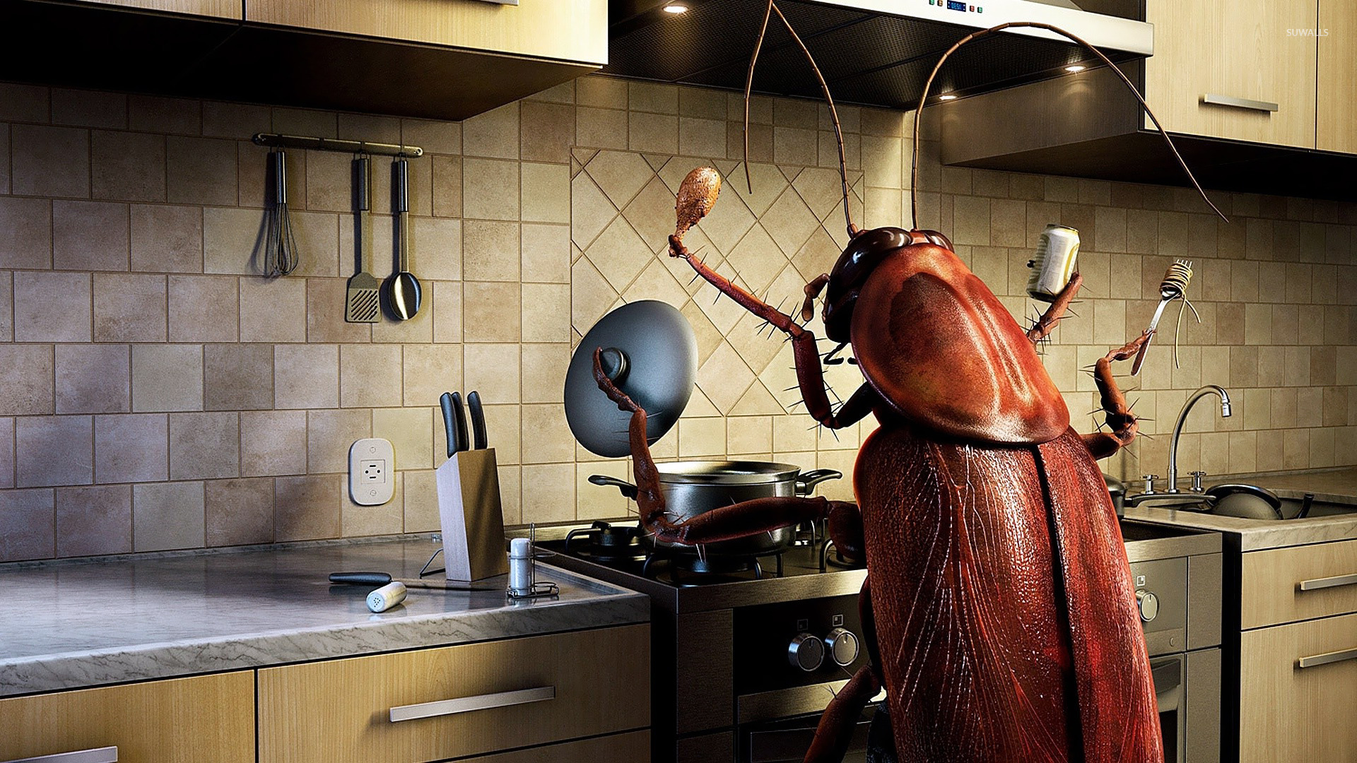 Image for funny kitchen wallpaper