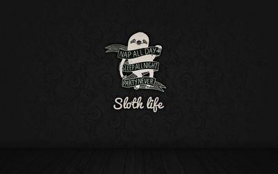 Sloth life wallpaper