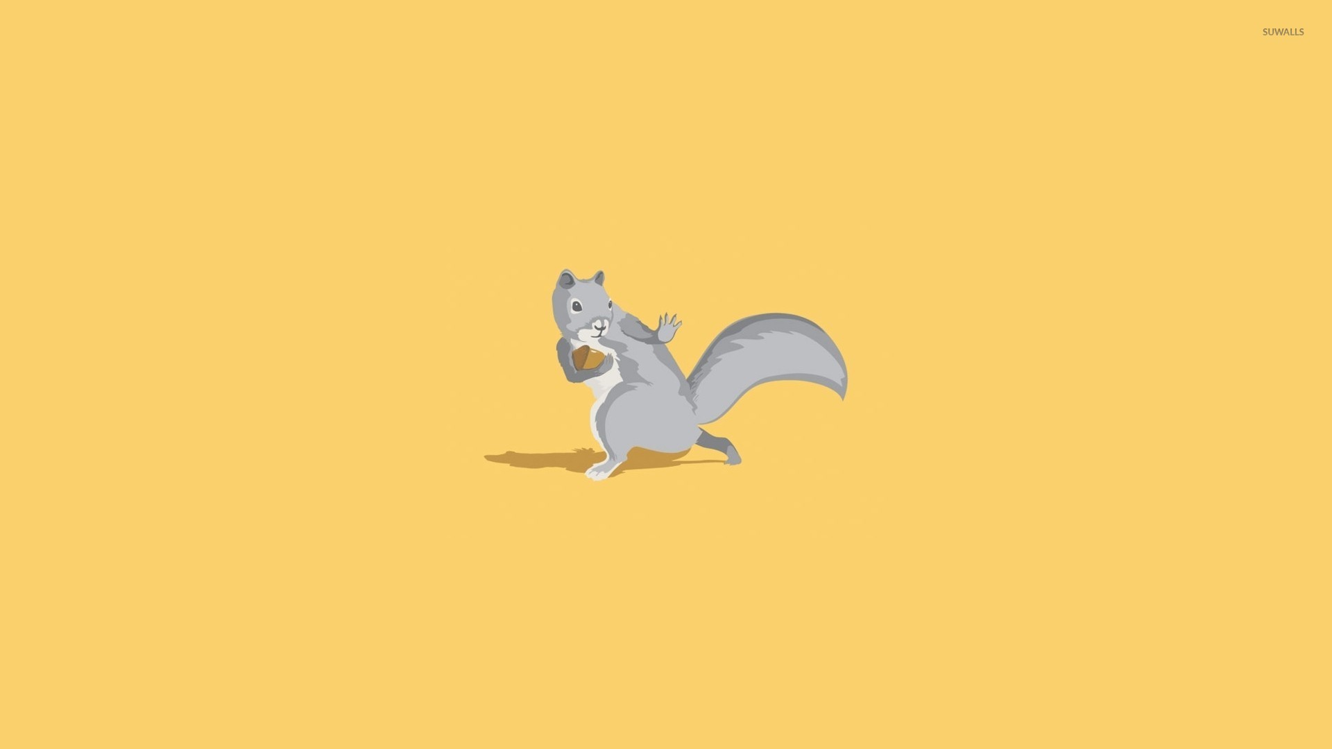Squirrel with a nut wallpaper - Funny wallpapers - #21928